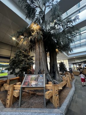 Fresno Yosemite International Airport by null
