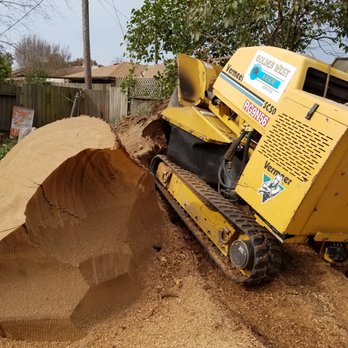The Tree Pros - one of the Large stumps we can do with our Stump Grinders - Tree Services Near Me - Hesperia, California The Tree Pros - one of the Large stumps we can do with our Stump Grinders - Tree Services Near Me - Hesperia, California
