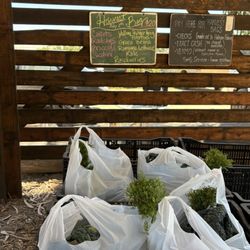 Halcyon Farms - Grab bags of assorted veggies