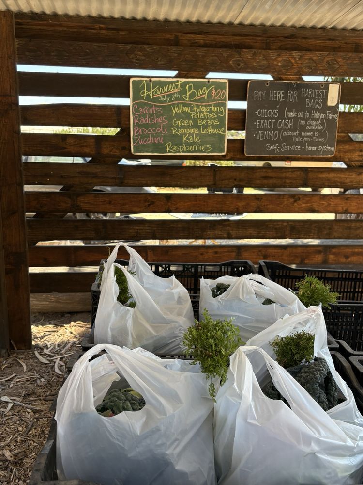 Halcyon Farms Logo