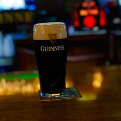 Molly Malone's Irish Pub