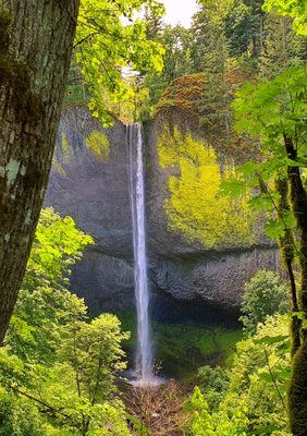 Latourell Falls by null