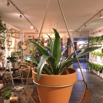 Botanica Shop and Studio - Nurseries & Gardening Near Me - San Diego, California Botanica Shop and Studio - Nurseries & Gardening Near Me - San Diego, California
