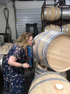 Foursight Wines by null