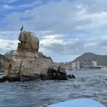Cactus Tours - Tours Near Me - Cabo San Lucas, BCS
