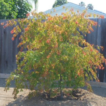 Barnyard Specialties - Landscaping Near Me - San Juan Capistrano, California