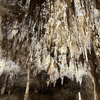 Carlsbad Caverns National Park - Parks Near Me - Carlsbad, New Mexico Carlsbad Caverns National Park - Parks Near Me - Carlsbad, New Mexico