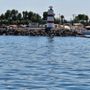Photo of Havasu Rentals 