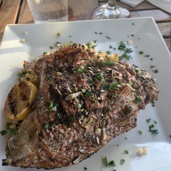 Sunset Pointe - Fresh fish... amazing!! - Bars Near Me - Fairhope, Alabama Sunset Pointe - Fresh fish... amazing!! - Bars Near Me - Fairhope, Alabama