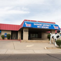 Doggie District - Paradise Valley
