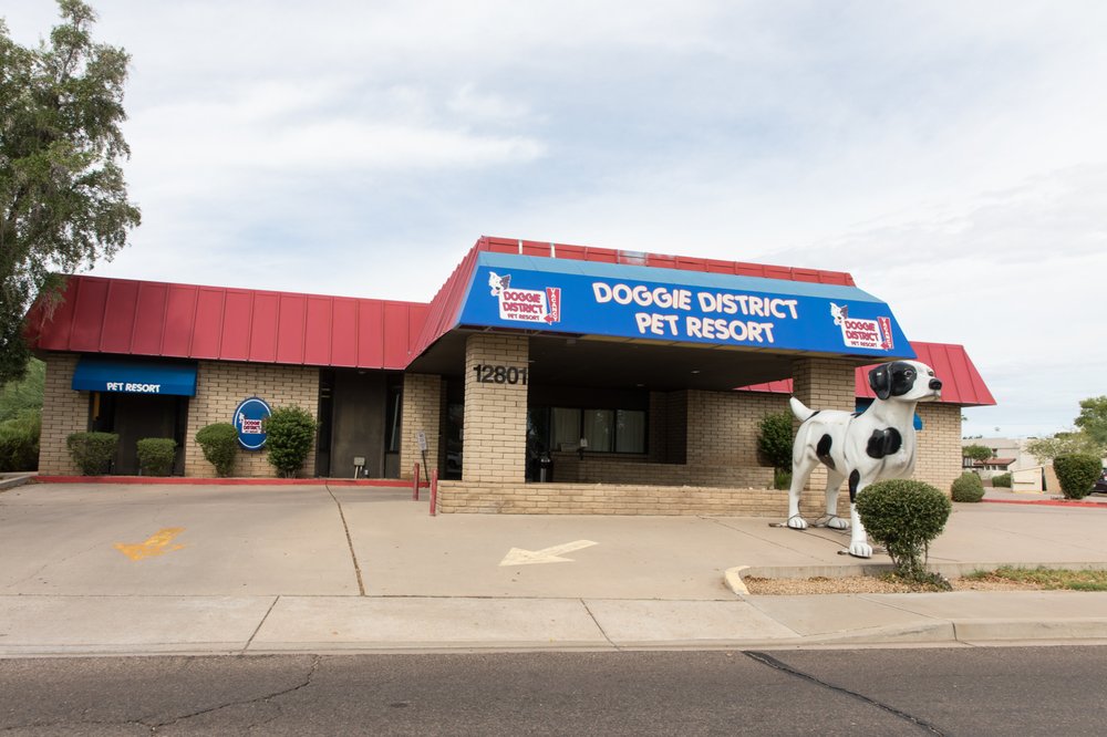 Doggie District - Paradise Valley - pet boarding facility in Phoenix, AZ