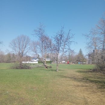 Lincoln Heights Park - Big park. Downed tree in the distance from the April 2023 storm. - Parks Near Me - Ottawa, Ontario