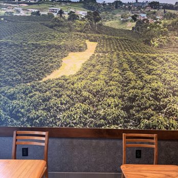 Starbucks - Redlands field - Coffee & Tea Near Me - Redlands, California Starbucks - Redlands field - Coffee & Tea Near Me - Redlands, California