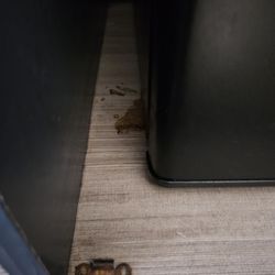 This is the nasty refrigerator they want us to put food in