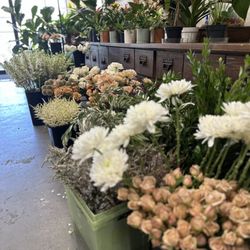 Langohr's Flowerland