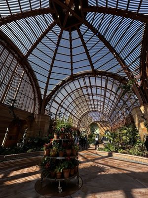 Balboa Park by null