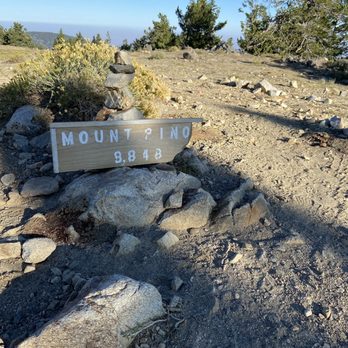 Mount Pinos - The summit of Mount Pinos near the satellite. - Hiking Near Me - Frazier Park, California Mount Pinos - The summit of Mount Pinos near the satellite. - Hiking Near Me - Frazier Park, California