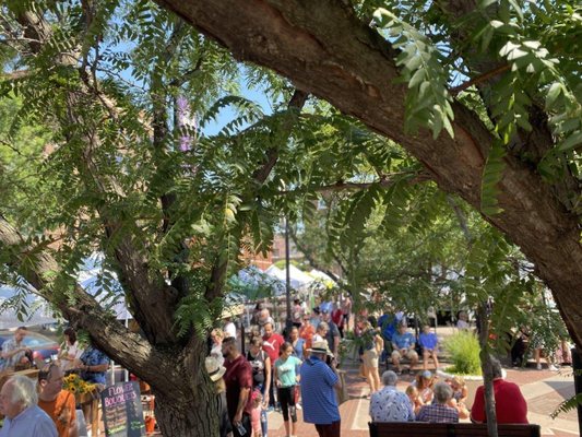 Old Town Farm & Art Market by null