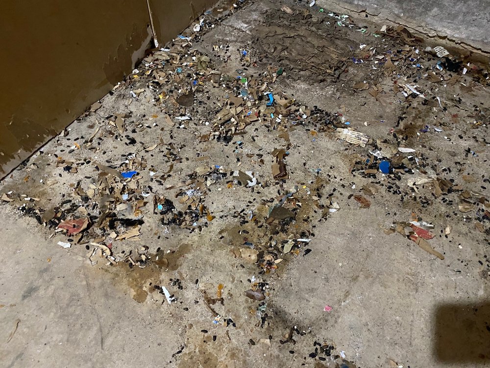 GREAT VALUE STORAGE Updated October 2024 4311 Samuell Blvd, Dallas