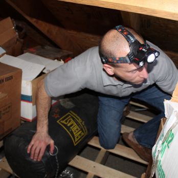 Integra Inspection Services - Todd is able and willing to inspect the areas other guys can't...or won't. - Home Inspectors Near Me - Huntsville, Alabama Integra Inspection Services - Todd is able and willing to inspect the areas other guys can't...or won't. - Home Inspectors Near Me - Huntsville, Alabama