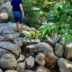 Water Wheel Campground - 8-6-2024