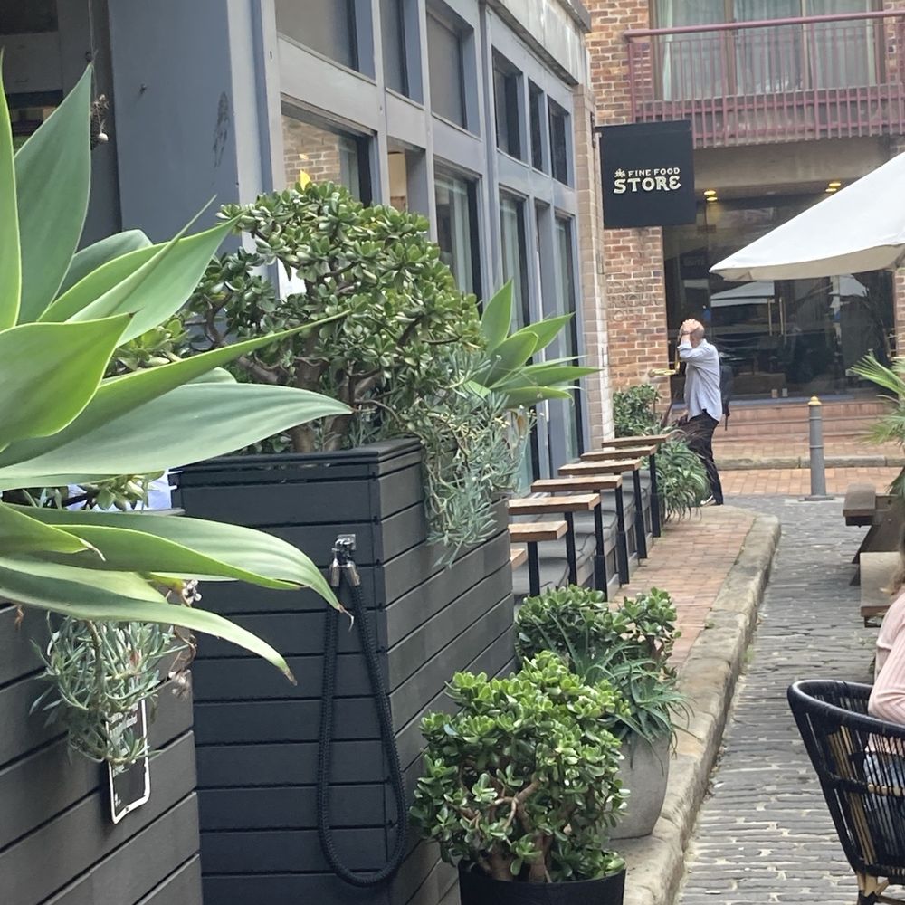 The Fine Food Store - Outside tables as well - Cafes Near Me - The Rocks, NSW