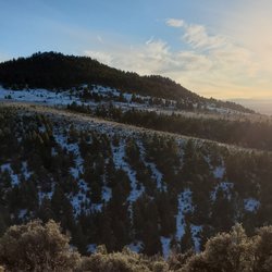 Rack and Reel Montana