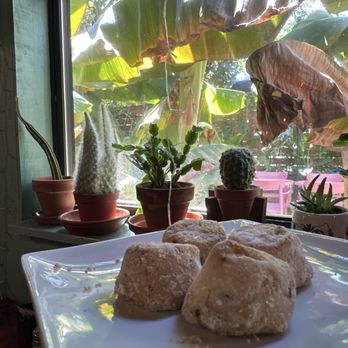 Tamale House East - Wedding cake cookies , crumbly amazing cooking best sided with a Mexican authentic ice coffee! - Mexican Near Me - Austin, Texas Tamale House East - Wedding cake cookies , crumbly amazing cooking best sided with a Mexican authentic ice coffee! - Mexican Near Me - Austin, Texas