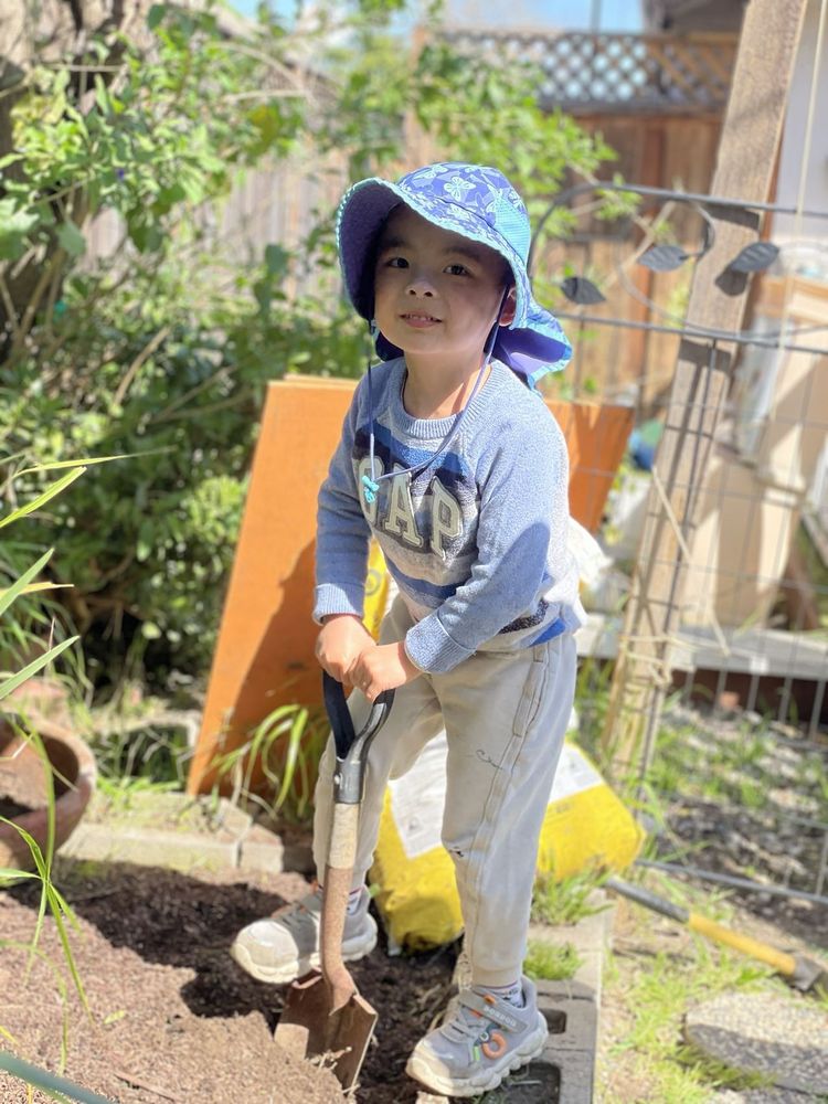 Little Dragon Bilingual Learning Center - childcare center in Santa Clara, CA