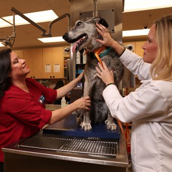 Banfield Pet Hospital - Veterinarians Near Me - Orem, Utah Banfield Pet Hospital - Veterinarians Near Me - Orem, Utah