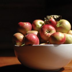 MEEL - Apple season