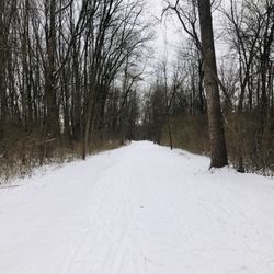 Cascade Valley Metro Park - Schumacher Trail