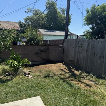 JYL Affordable Tree Care Services - After - Tree Services Near Me - Lynwood , California JYL Affordable Tree Care Services - After - Tree Services Near Me - Lynwood , California