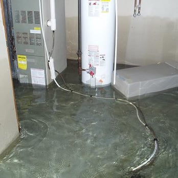 Carpet Cops - Water damage? 24/7 emergency water damage service and response. Live after hours answering service. Direct insurance billing. - Carpet Cleaning Near Me - Reno, Nevada Carpet Cops - Water damage? 24/7 emergency water damage service and response. Live after hours answering service. Direct insurance billing. - Carpet Cleaning Near Me - Reno, Nevada