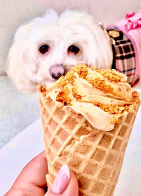 Hokey Pokey LA by null