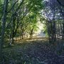 Photo of Croxteth Local Nature Reserve