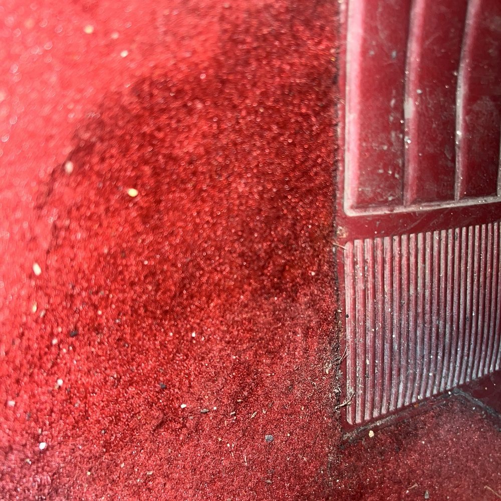 Milex Complete Auto Care Frederick - Water damage to my carpet - Auto Repair Near Me - Frederick, Maryland Milex Complete Auto Care Frederick - Water damage to my carpet - Auto Repair Near Me - Frederick, Maryland