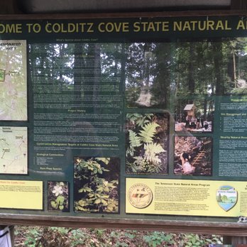 Colditz Cove Nature Area - Hiking Near Me - Jamestown, Tennessee Colditz Cove Nature Area - Hiking Near Me - Jamestown, Tennessee