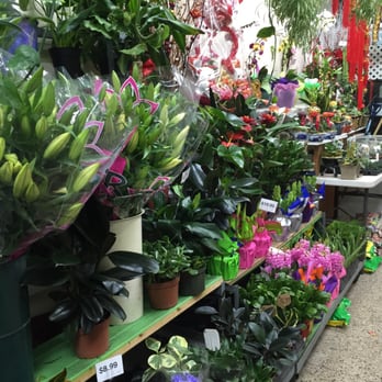 Creative Florist - Florists Near Me - Rego Park, New York