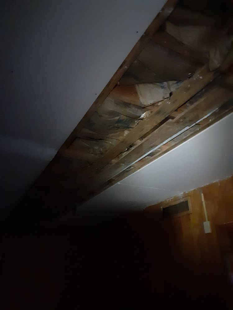 Slide of Sergio Roofing & Remodeling