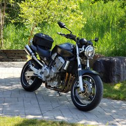Daily Rider