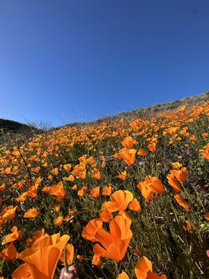 Walker Canyon by null