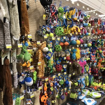 Ace Hardware of La Crescenta - I loved the dog toy section. - Hardware Stores Near Me - La Crescenta, California Ace Hardware of La Crescenta - I loved the dog toy section. - Hardware Stores Near Me - La Crescenta, California