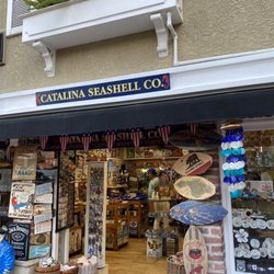 Catalina Seashell