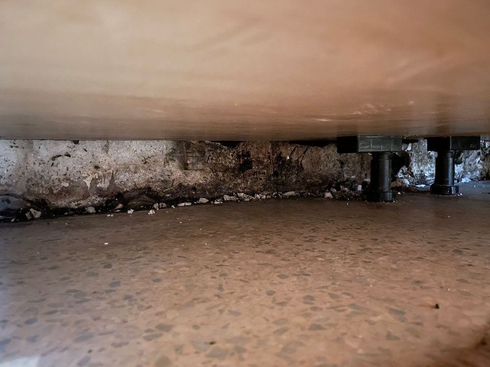 DL Mold Inspections - mold inspector in Davenport, FL