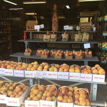 Odelehr's Roadside Market - Nothing better than Calhoun County peaches - Fruits & Veggies Near Me - Brussels, Illinois Odelehr's Roadside Market - Nothing better than Calhoun County peaches - Fruits & Veggies Near Me - Brussels, Illinois