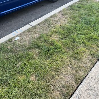 Simply The Best Lawns - Burned out lawn from poor treatments. - Lawn Services Near Me - Pequannock Township, New Jersey