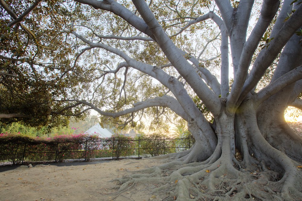 Aurora Vista del Mar - child therapist in Ventura, CA