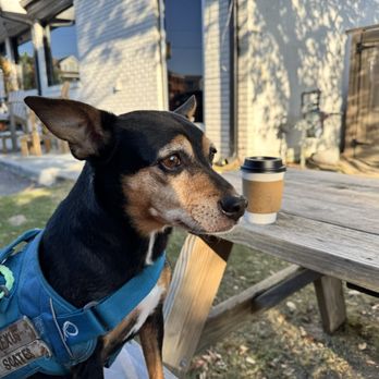 American Brew - Outside - Coffee & Tea Near Me - Virginia Beach, Virginia