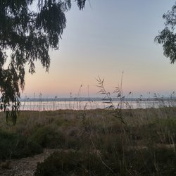 La Pinada - Views to the salt lake